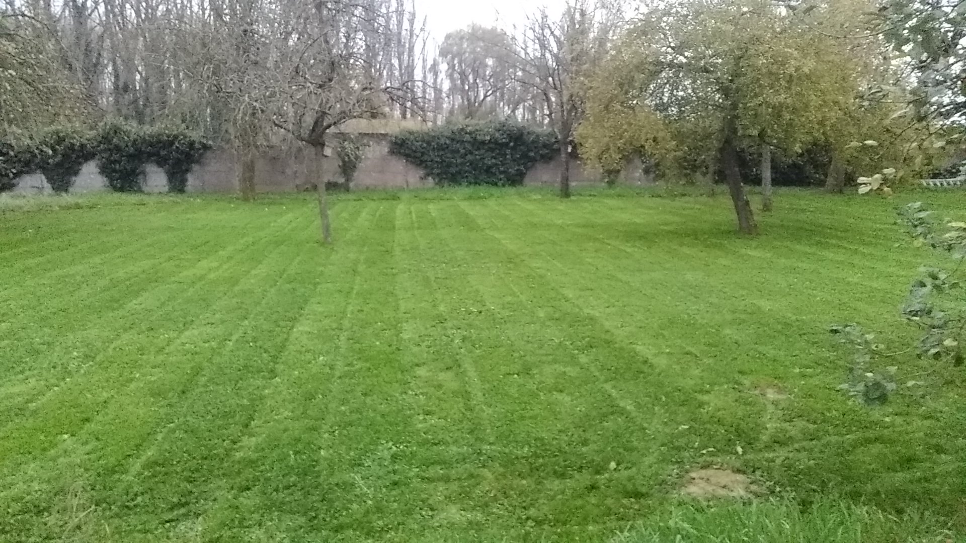 Samuel services — Photos 2