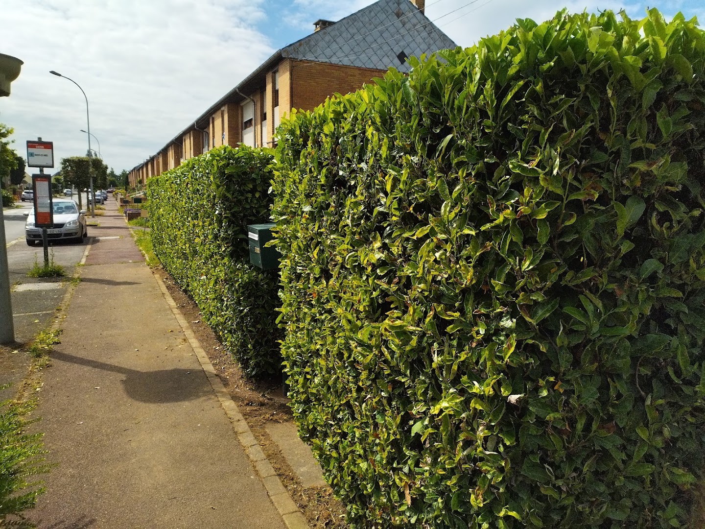 Samuel services — Photos 7